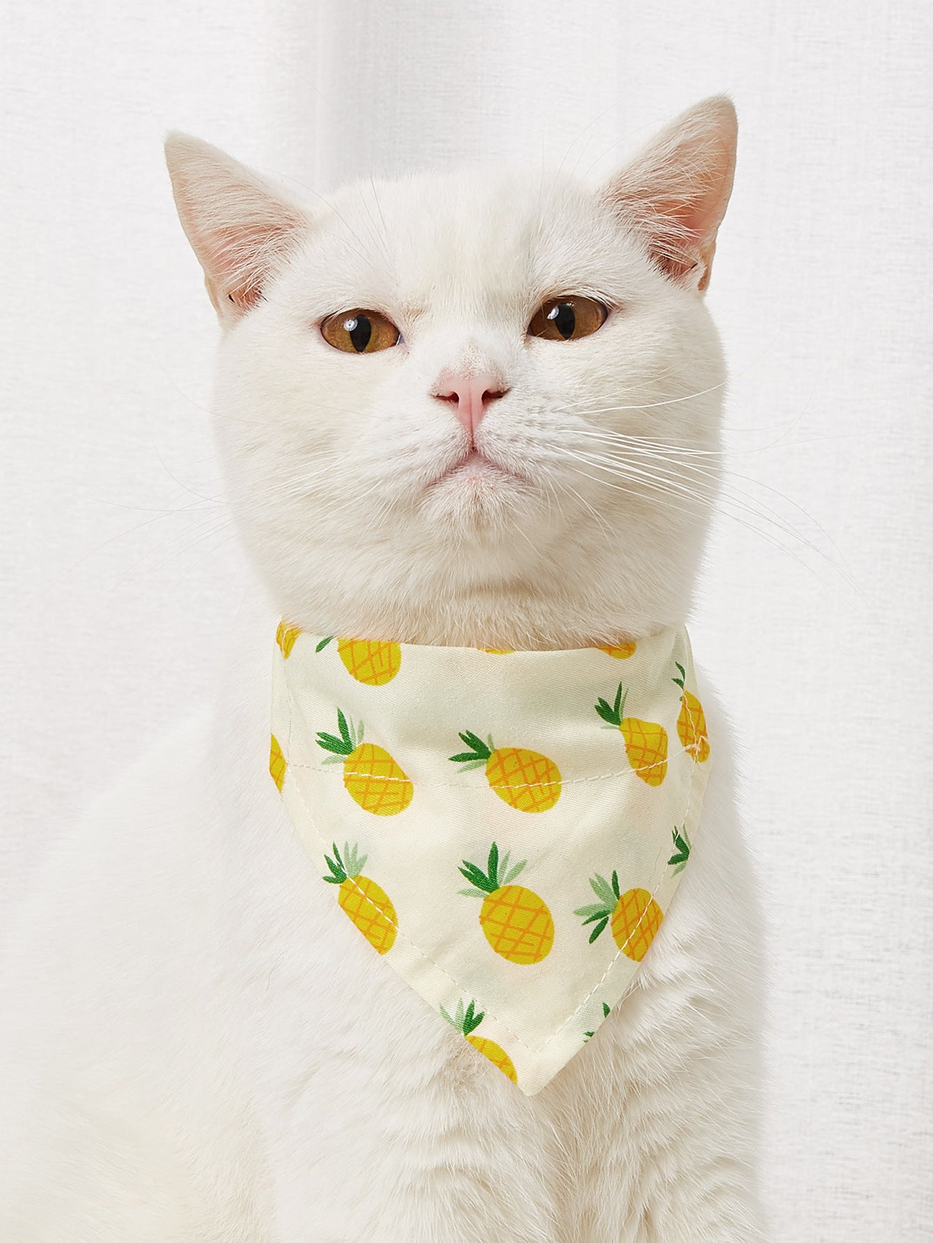 Cartoon Print Triangle Bandana Bib