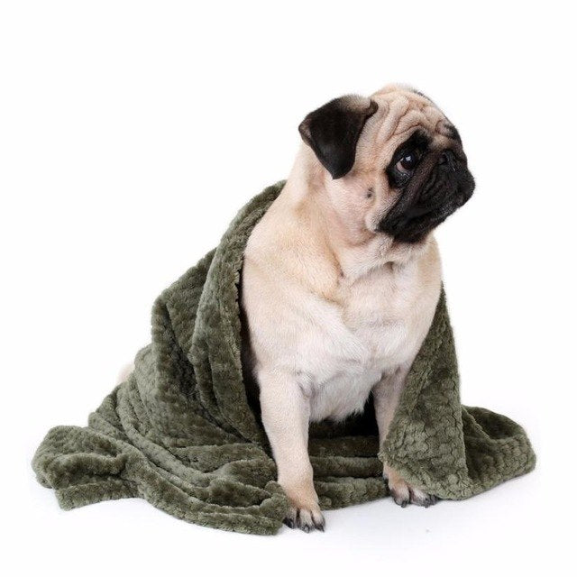 Cozy Coral Fleece Pet Blanket