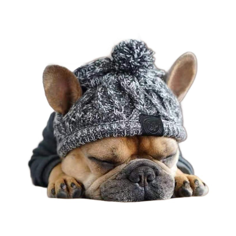 Pet Cat Hat Fighting Bago Big Dog Cat Dog