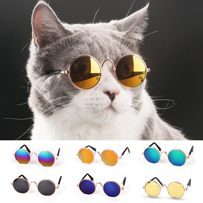 Retro Round Sunglasses for Cats &amp; Small Dogs
