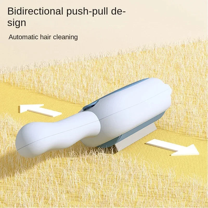Pet Hair Removal Brush for Carpet &amp; Sofa