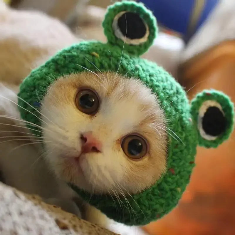 Crochet Cat Bonnet – Cute Knit Party Hat