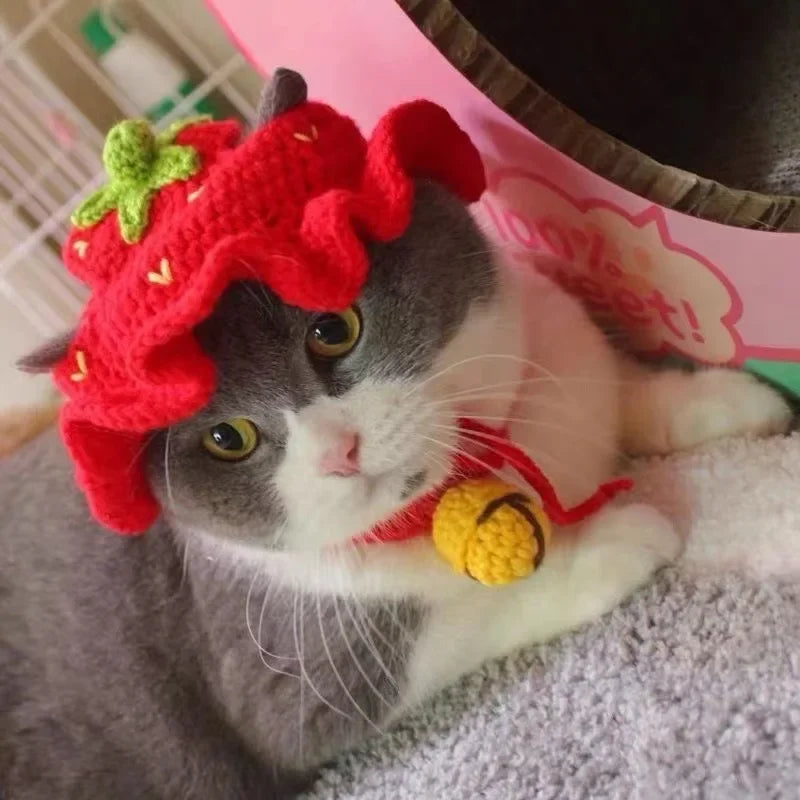Crochet Cat Bonnet – Cute Knit Party Hat
