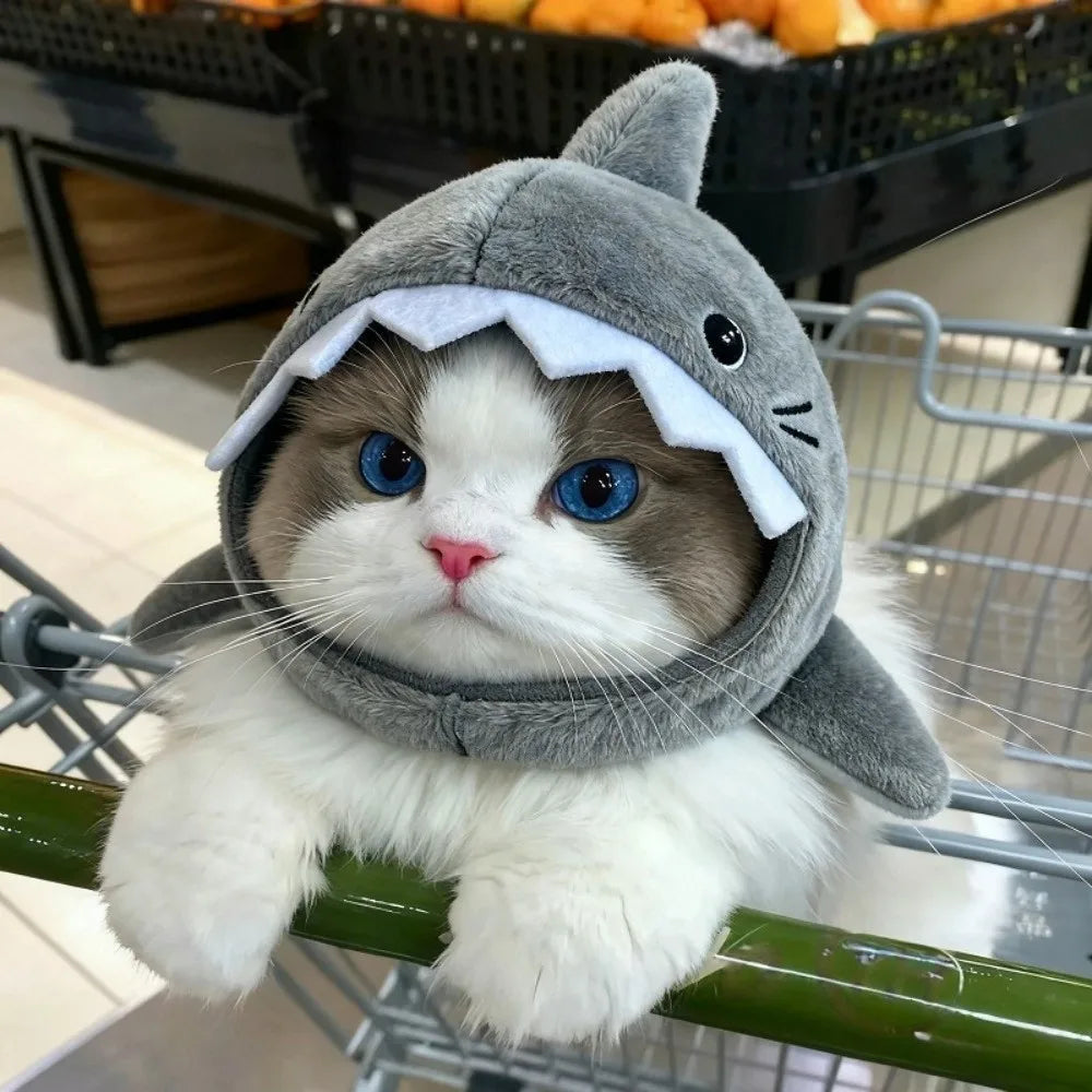 Shark hat detail