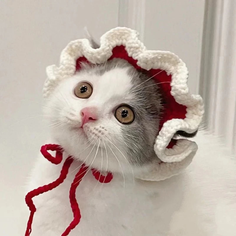 Crochet Cat Bonnet – Cute Knit Party Hat