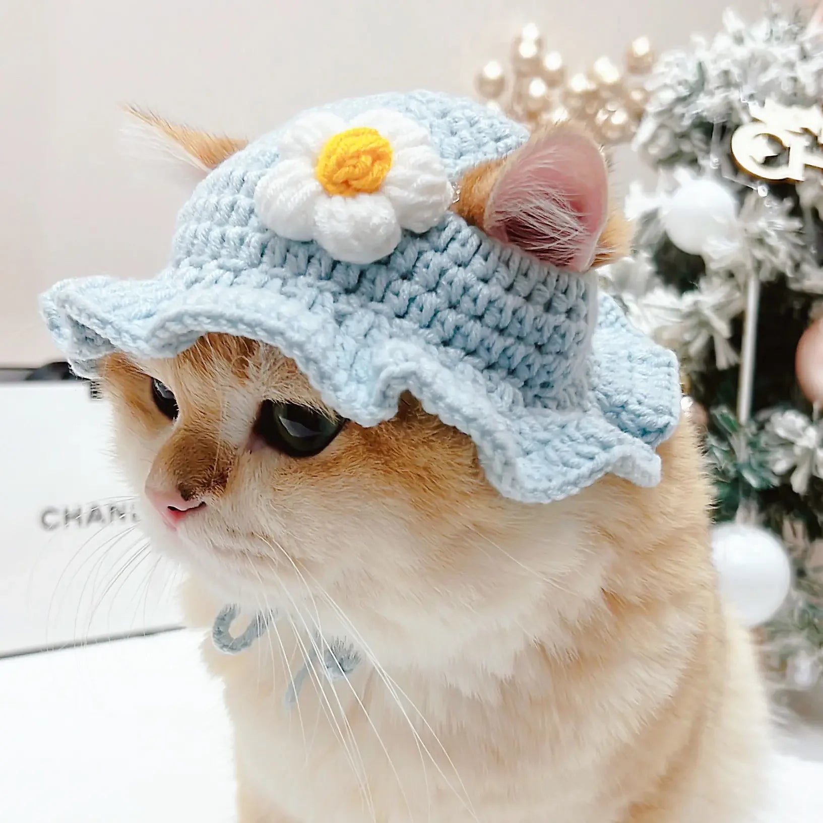 Crochet Cat Bonnet – Cute Knit Party Hat